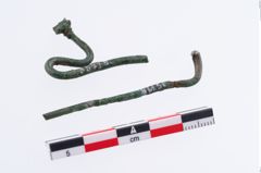 Foto von Bronzeschwanenhalsnadel (NHMW-PRAE-035778)